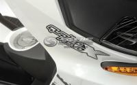 Фото Stels Arrow 100 Benelli  №10